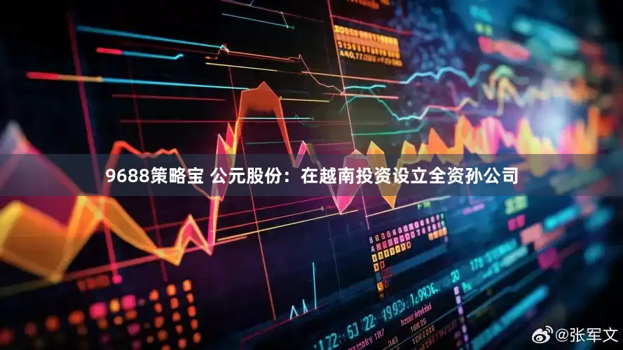 9688策略宝 公元股份：在越南投资设立全资孙公司