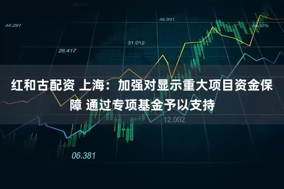 红和古配资 上海：加强对显示重大项目资金保障 通过专项基金予以支持