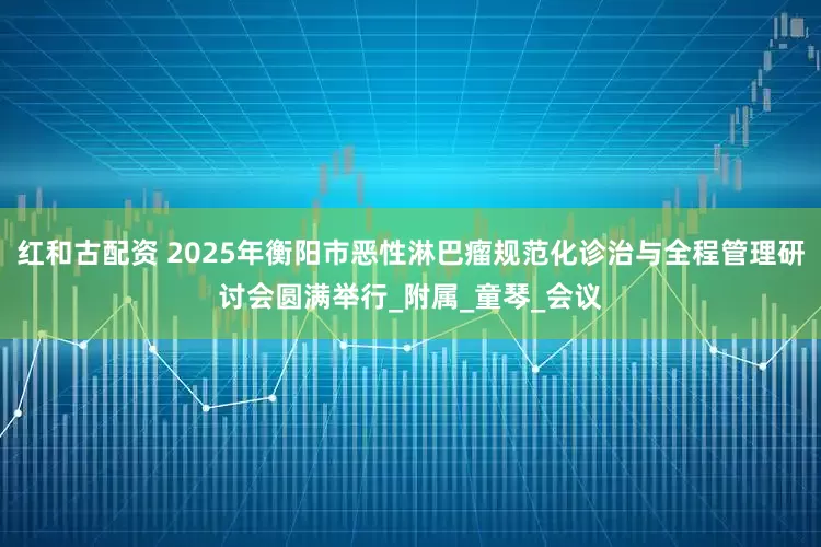 红和古配资 2025年衡阳市恶性淋巴瘤规范化诊治与全程管理研讨会圆满举行_附属_童琴_会议