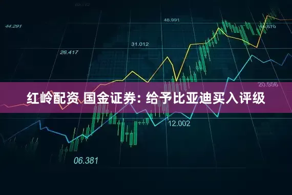 红岭配资 国金证券: 给予比亚迪买入评级