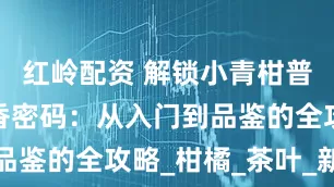 红岭配资 解锁小青柑普洱茶的醇香密码：从入门到品鉴的全攻略_柑橘_茶叶_新会
